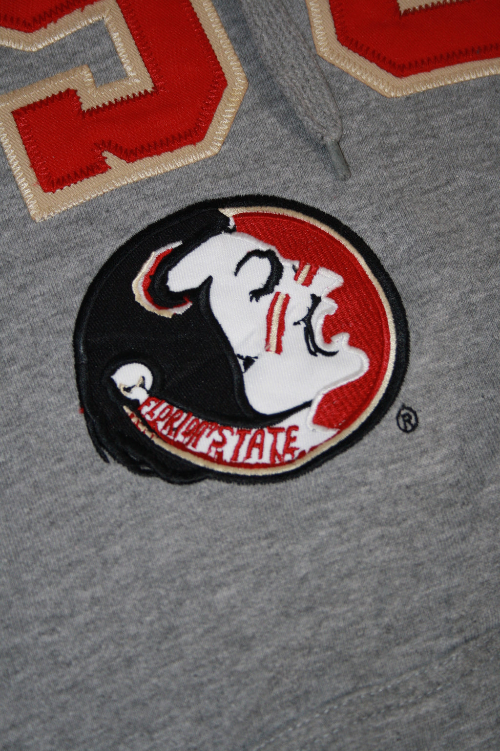 Vintage FSU Embroidered Hoodie (XL)