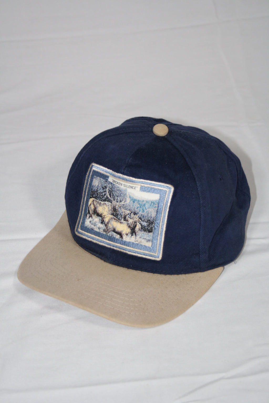 Vintage 'Broken Silence' Buck Cap