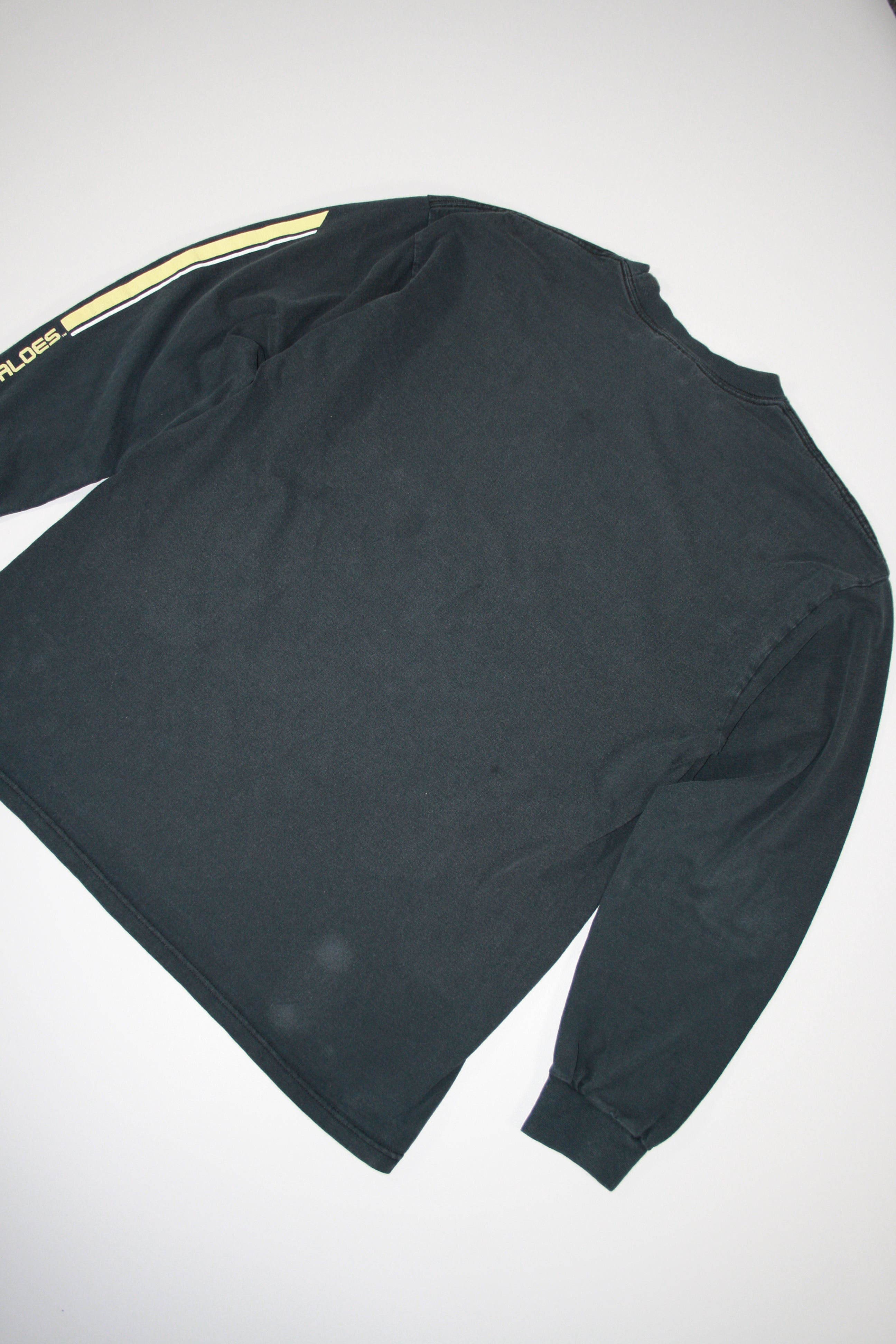 Vintage Colorado Buffaloes Printed Long Sleeve (L)